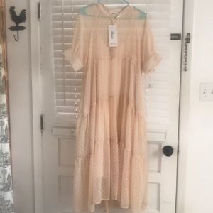 Blush Swiss Dot Tea Length Dress